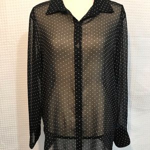 Chico’s Sheer Long Sleeve Blouse